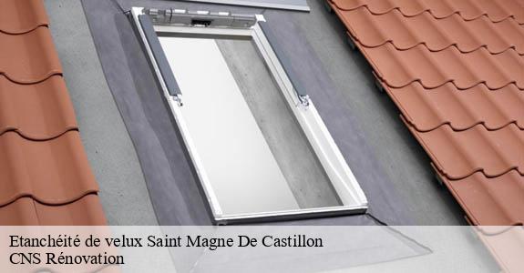 Etanchéité de velux saint-magne-de-castillon-33350 CNS Rénovation