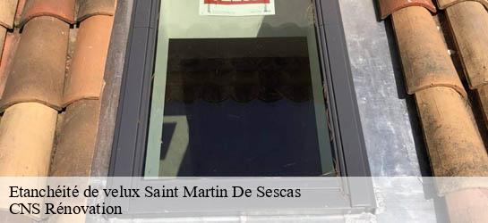 Etanchéité de velux 33490