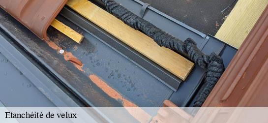 Etanchéité de velux 33840