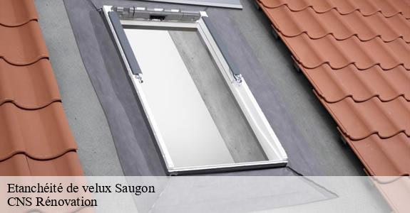 Etanchéité de velux saugon-33920 CNS Rénovation
