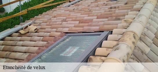 Etanchéité de velux 33550