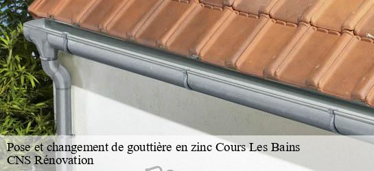 Pose et changement de gouttière en zinc 33690