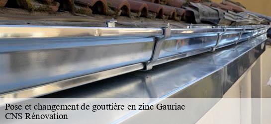 Pose et changement de gouttière en zinc 33710