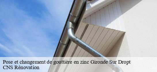 Pose et changement de gouttière en zinc 33190
