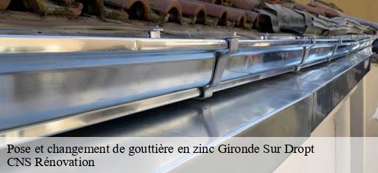 Pose et changement de gouttière en zinc 33190