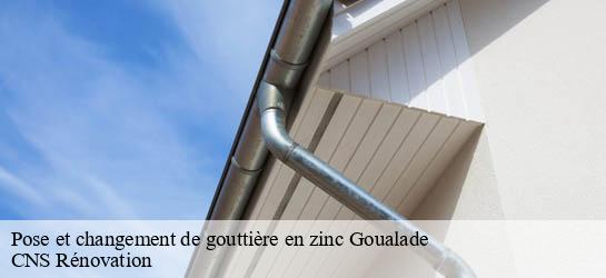 Pose et changement de gouttière en zinc 33840