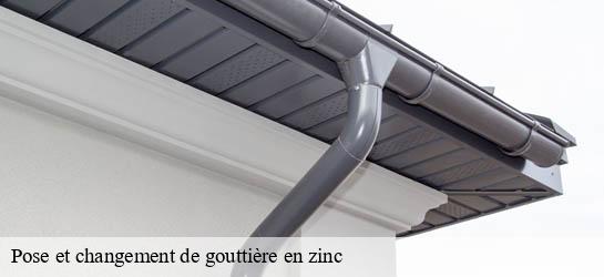Pose et changement de gouttière en zinc 33370