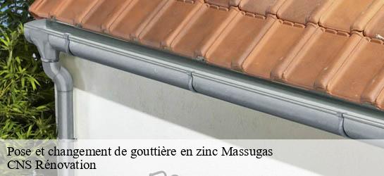 Pose et changement de gouttière en zinc 33790