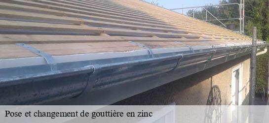 Pose et changement de gouttière en zinc 33210