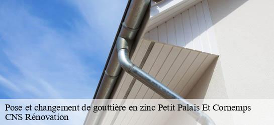 Pose et changement de gouttière en zinc 33570