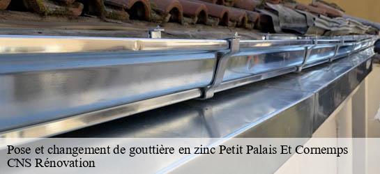 Pose et changement de gouttière en zinc 33570