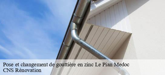 Pose et changement de gouttière en zinc 33290
