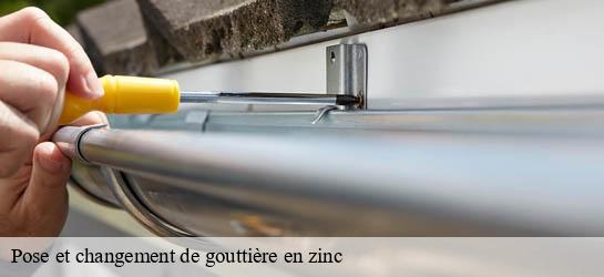 Pose et changement de gouttière en zinc 33720