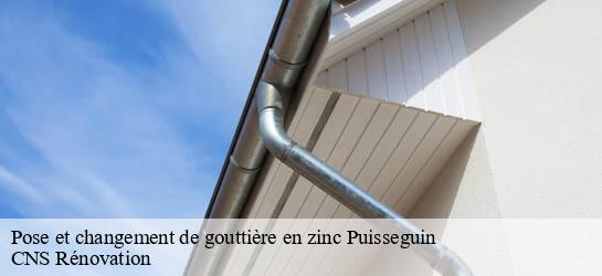 Pose et changement de gouttière en zinc 33570