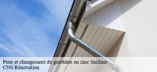 Pose et changement de gouttière en zinc 33141