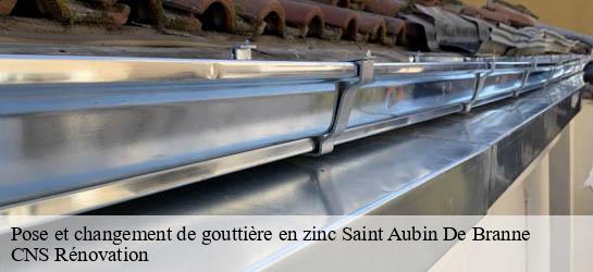 Pose et changement de gouttière en zinc 33420
