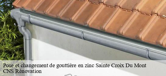 Pose et changement de gouttière en zinc 33410