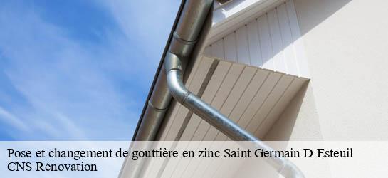 Pose et changement de gouttière en zinc 33340