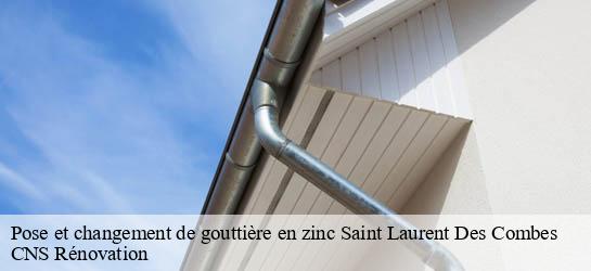 Pose et changement de gouttière en zinc 33330