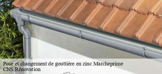 Pose et changement de gouttière en zinc 33380