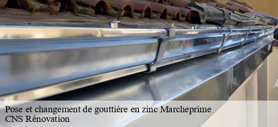 Pose et changement de gouttière en zinc 33380