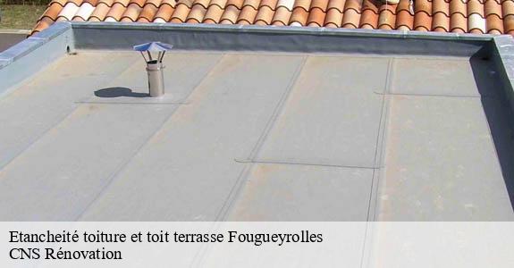 Etancheité toiture et toit terrasse fougueyrolles-33220 CNS Rénovation