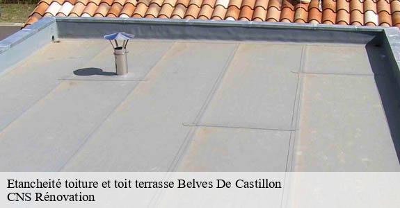 Etancheité toiture et toit terrasse belves-de-castillon-33350 CNS Rénovation