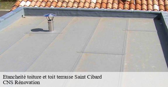 Etancheité toiture et toit terrasse saint-cibard-33570 CNS Rénovation