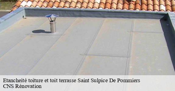 Etancheité toiture et toit terrasse saint-sulpice-de-pommiers-33540 CNS Rénovation