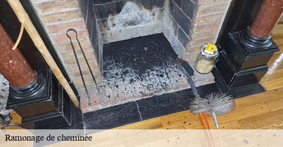 Ramonage de cheminée 33138
