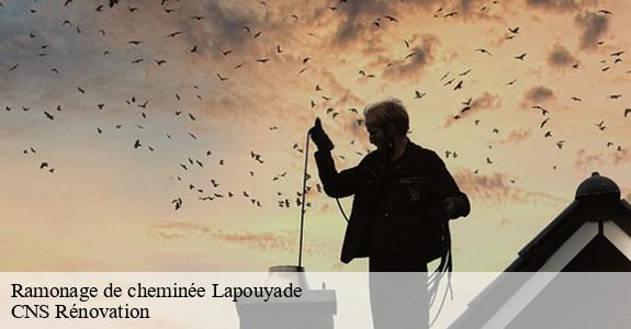 Ramonage de cheminée 33620