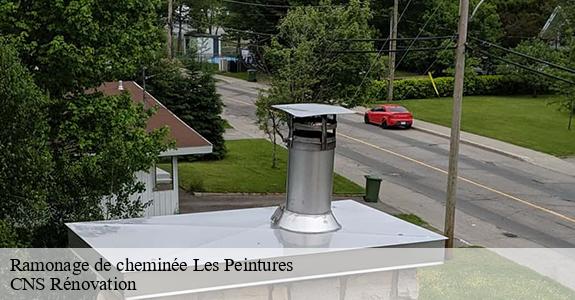 Ramonage de cheminée 33230