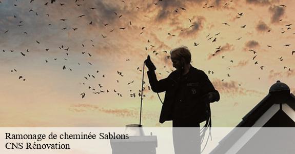 Ramonage de cheminée 33910