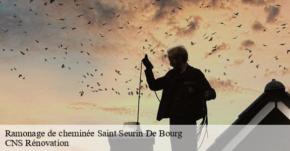 Ramonage de cheminée 33710